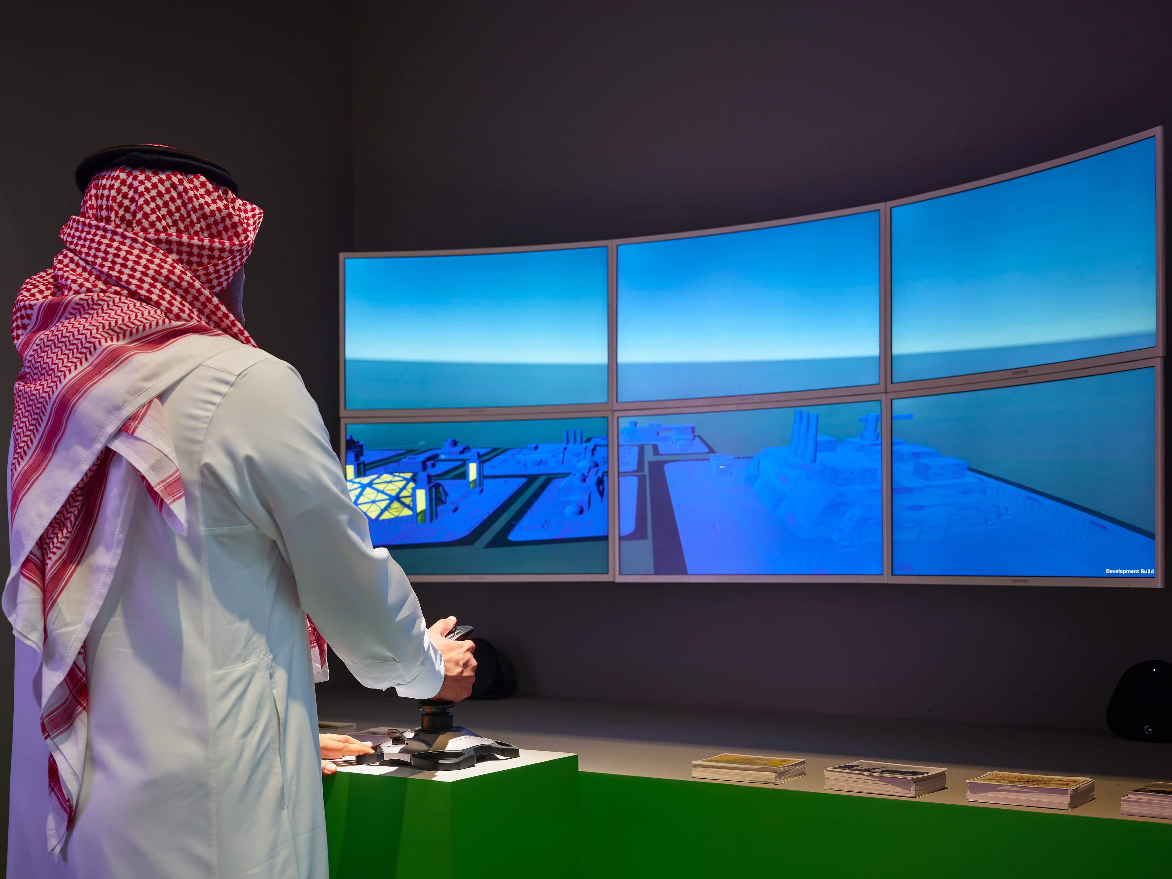 THE RESISTANCE OF THE RHIZOME gallery image 4