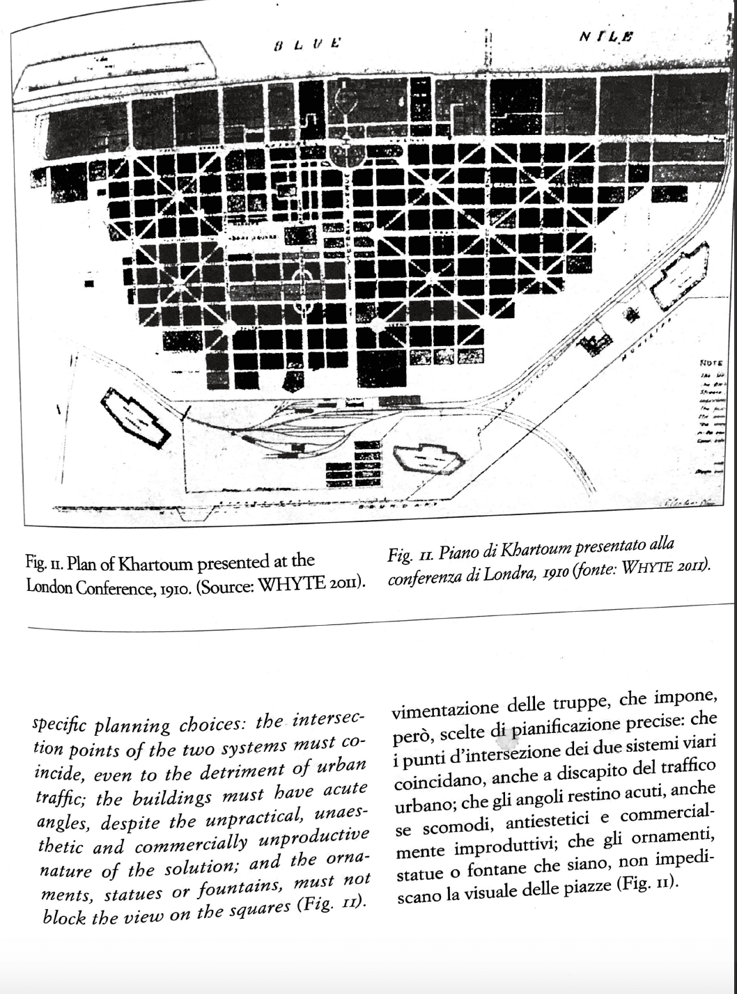 THE RESISTANCE OF THE RHIZOME gallery image 6