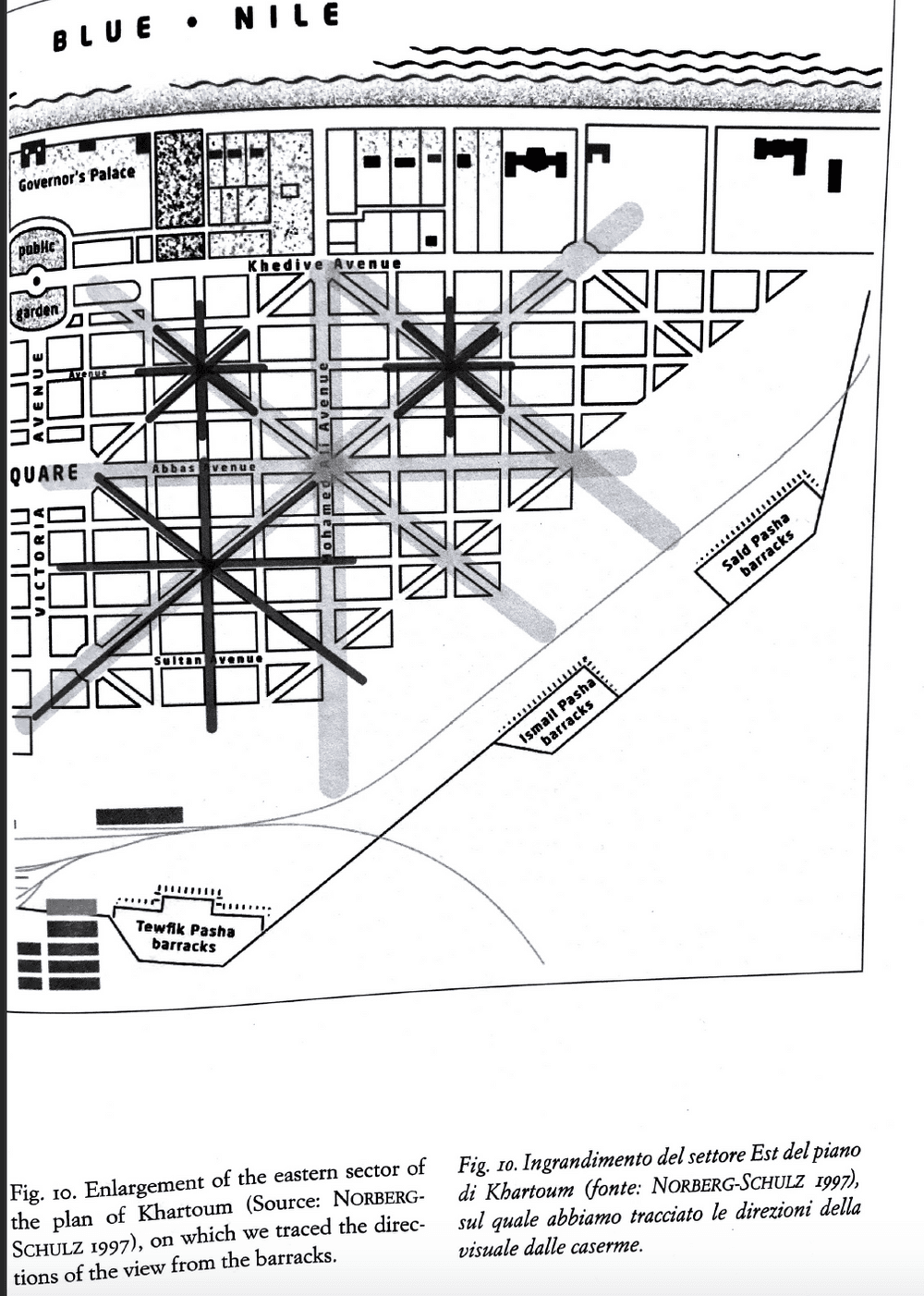 THE RESISTANCE OF THE RHIZOME gallery image 7