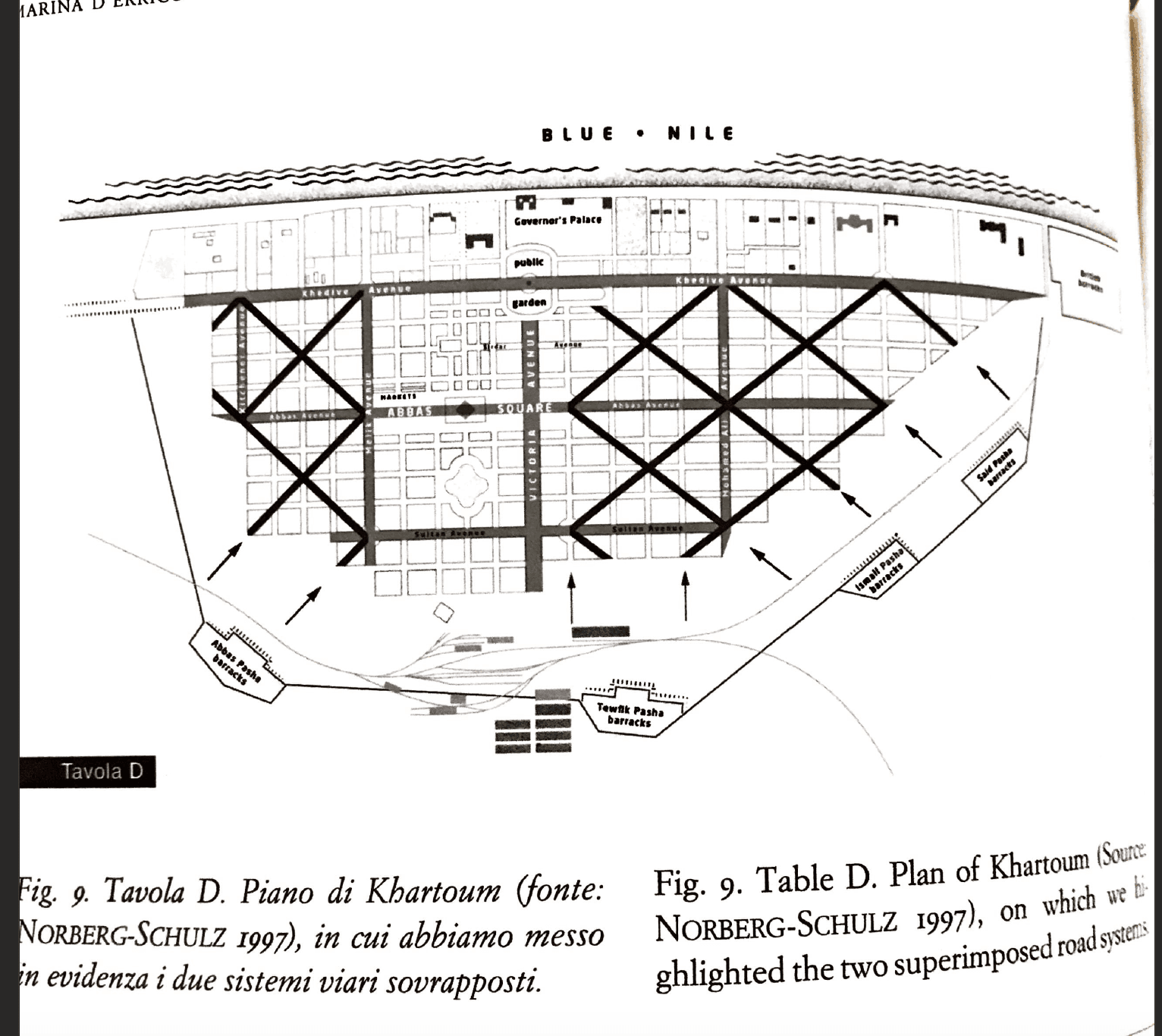 THE RESISTANCE OF THE RHIZOME gallery image 8