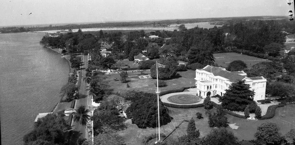 THE RESISTANCE OF THE RHIZOME gallery image 10